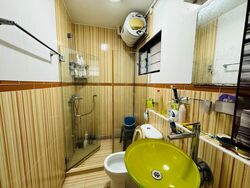 Blk 503 Panshan View (Bukit Panjang), HDB Executive #475417771